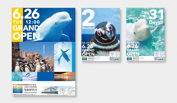 上越市立水族博物館 うみがたり 新聞広告