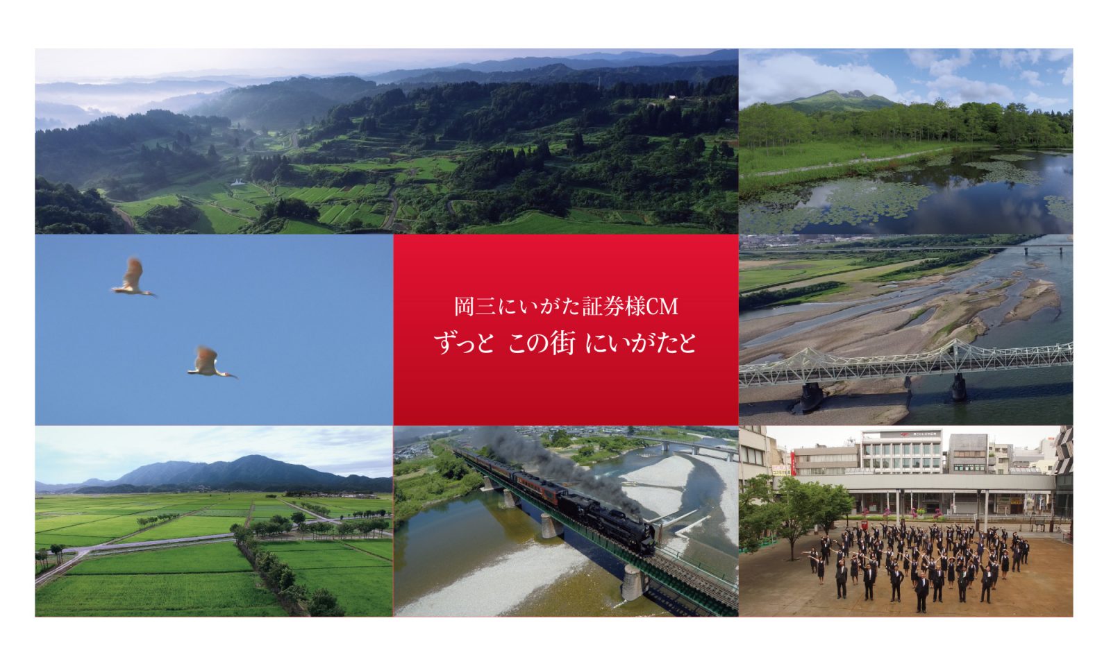 岡三にいがた証券様CM「ずっと この街 にいがたと」 株式会社ネオス