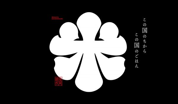 JA越後ながおかのパックご飯